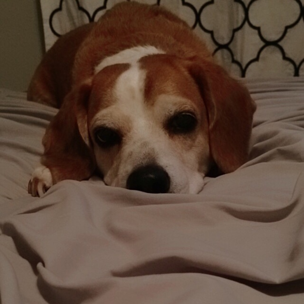 Meet your Posher, Macy